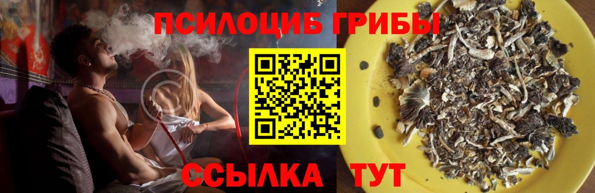 Псилоцибиновые грибы мухоморы  купить закладку  Первоуральск  Вход с VPN 